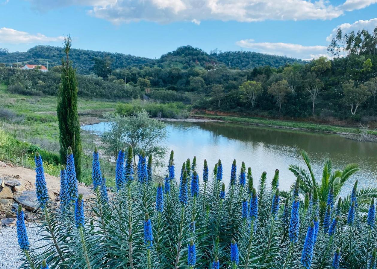 Figs On The Funcho Self Catering - A River Side Location Pedreiras  Exterior foto
